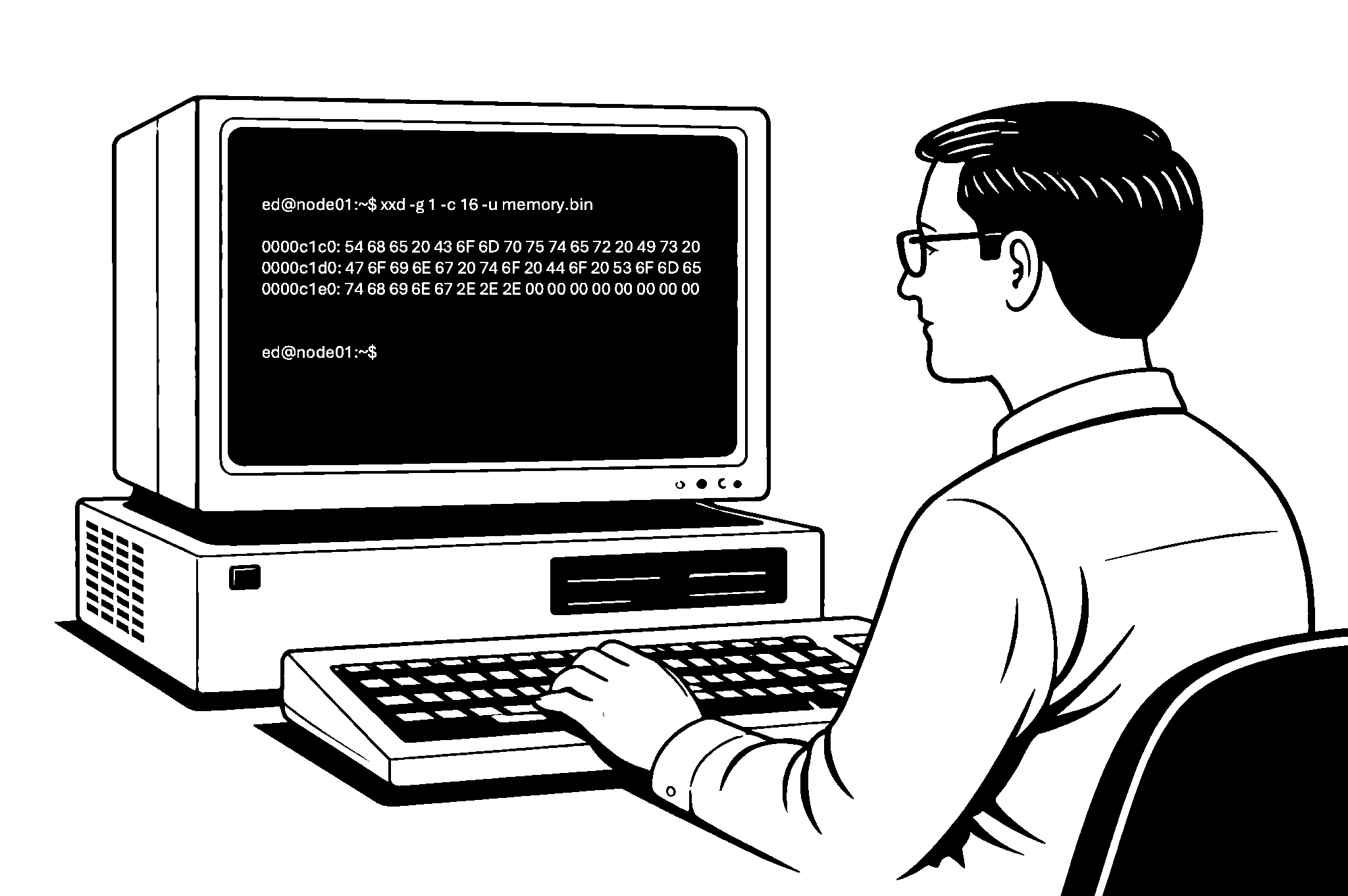 Hello World code illustration showing the first program that makes a computer execute instructions and produce visible output.